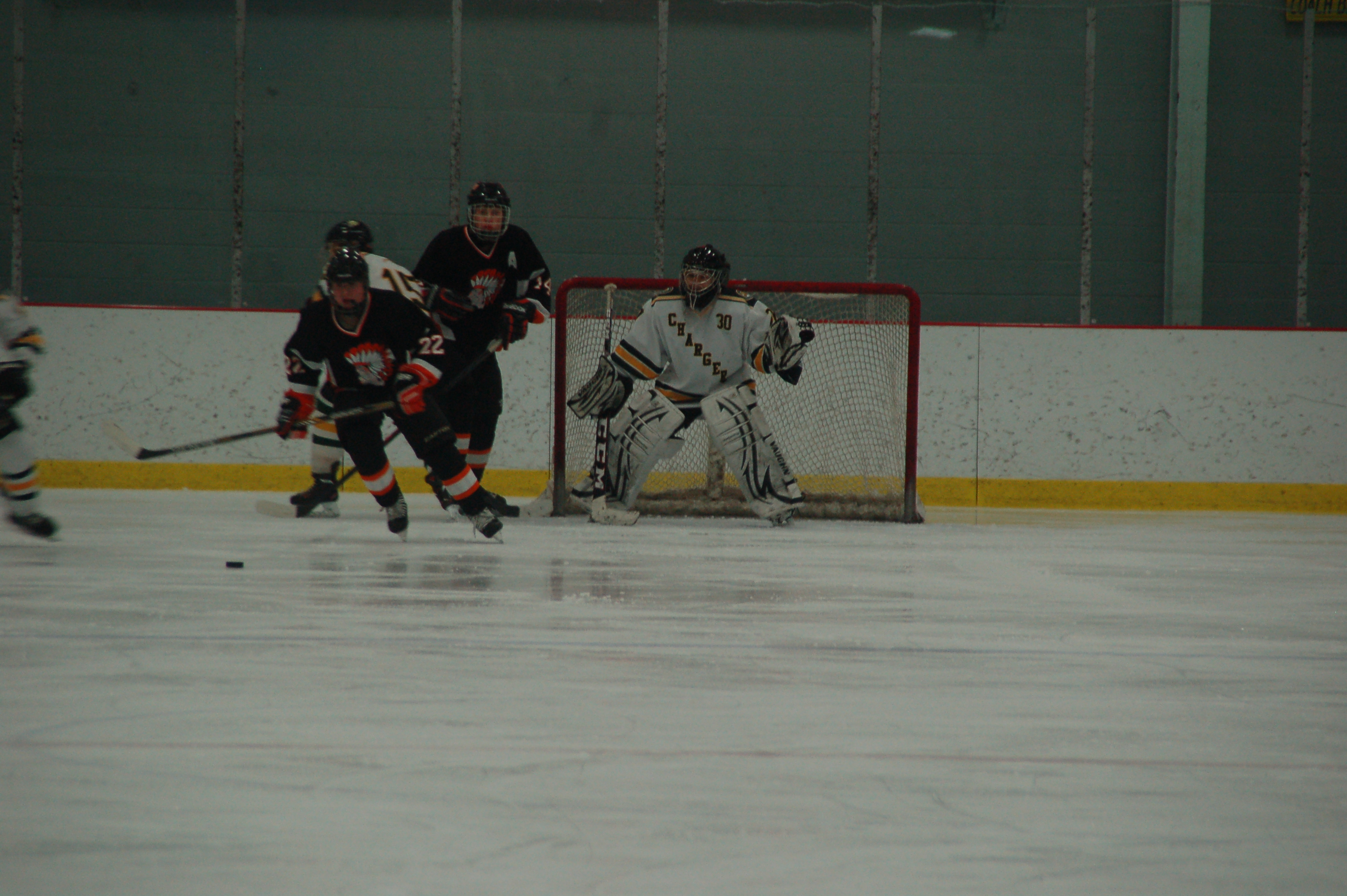 DHS hockey's previous game was against Cheboygan High School. Picture by Brinli Leonhardt.