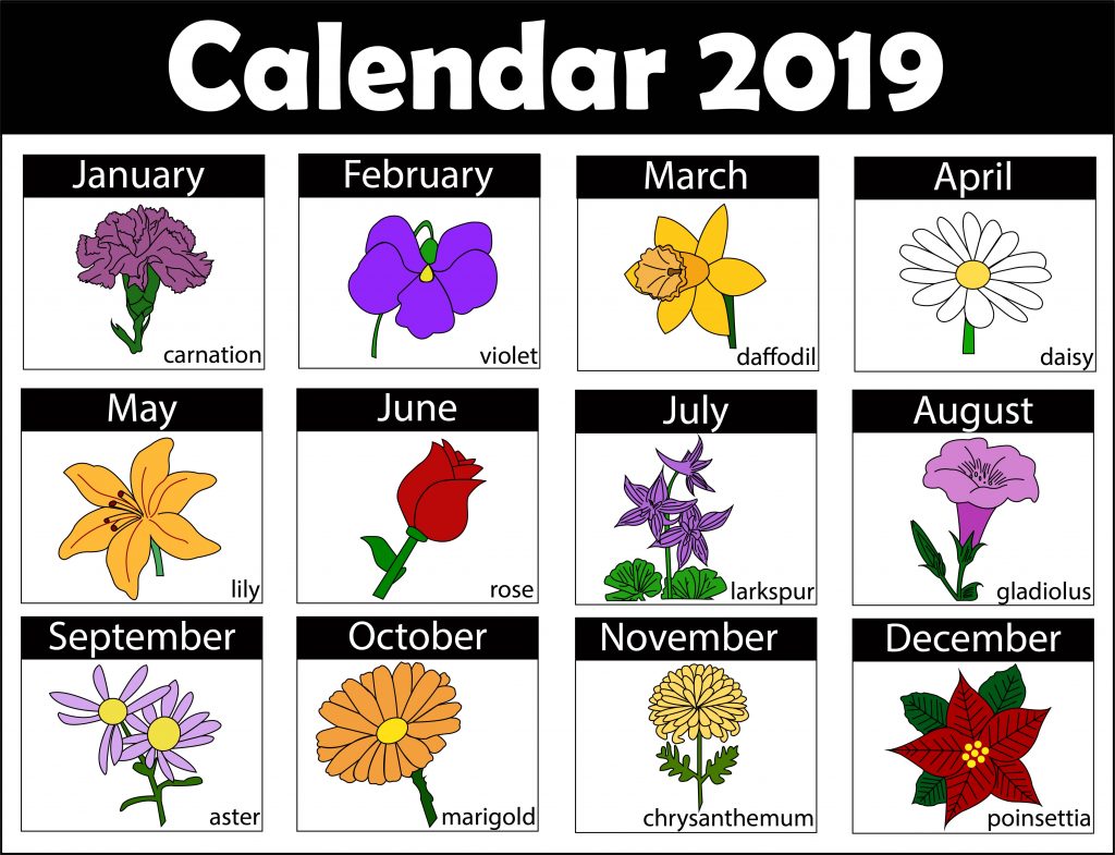 Cactus Flowers April Birth Month Flowers In 2020 45F